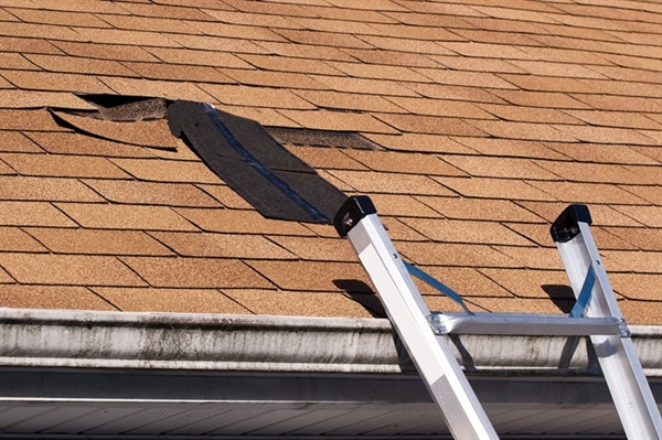 What roofing problems are most common after Rochester’s freeze–thaw cycles?